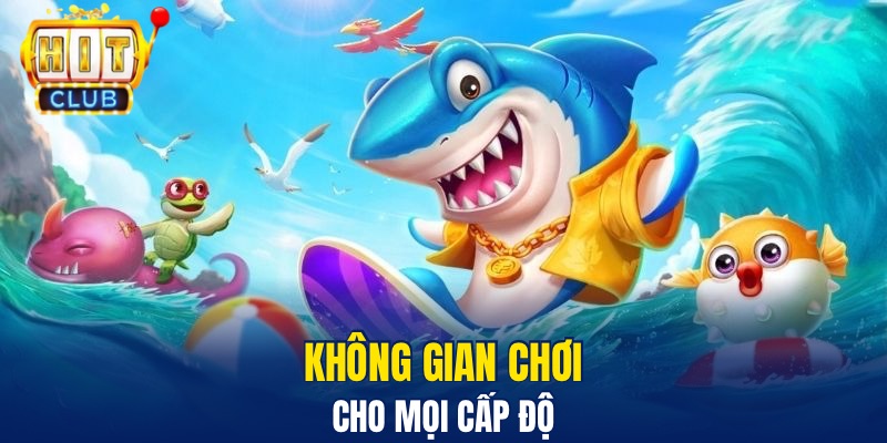 Không gian chơi cho mọi cấp độ